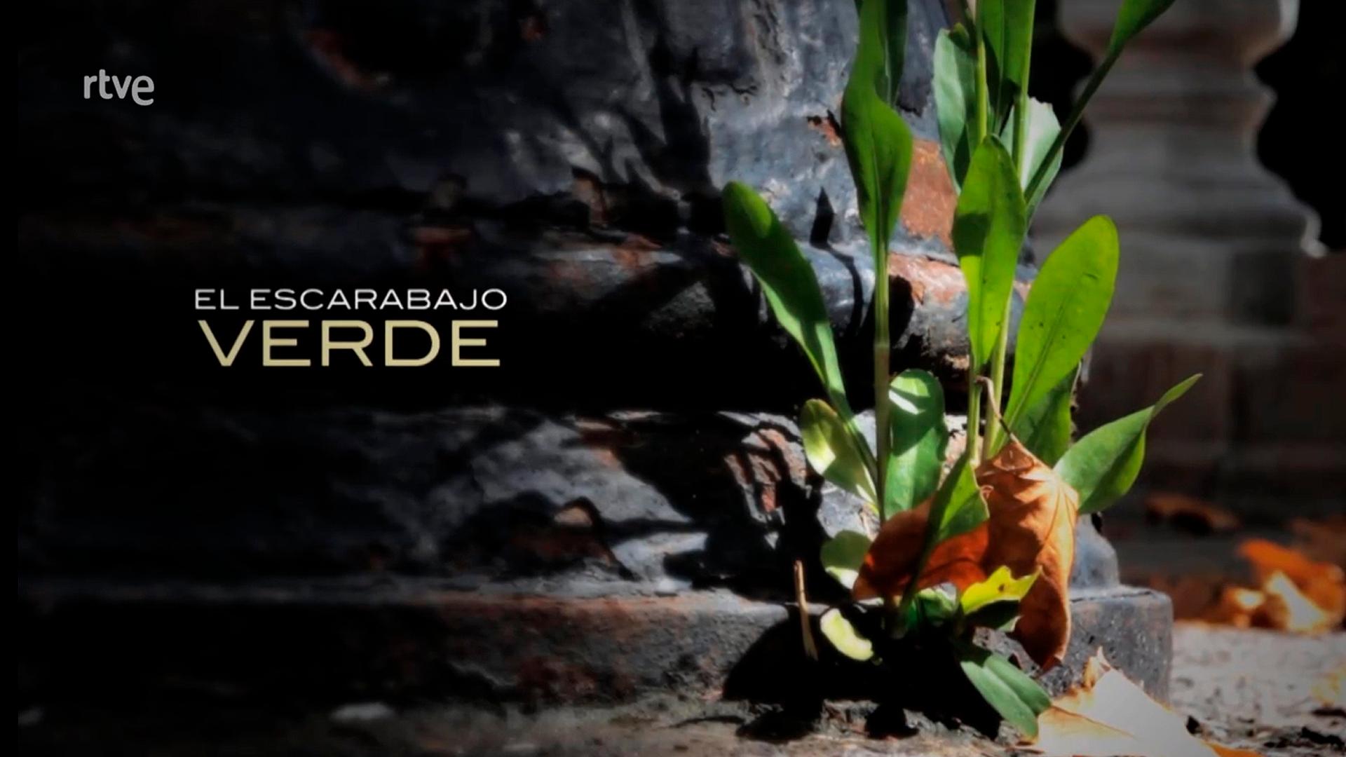 presence-of-caiba-in-the-escarabajo-verde